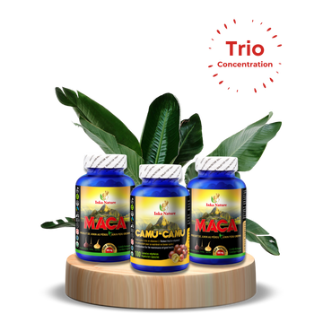 Trio Concentration Inka Nature