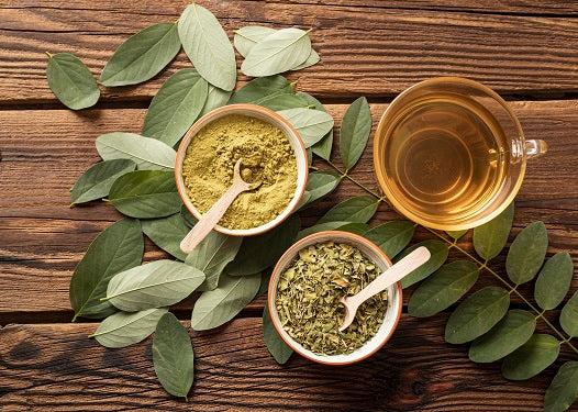 Moringa Oleifera: The Tree of Life